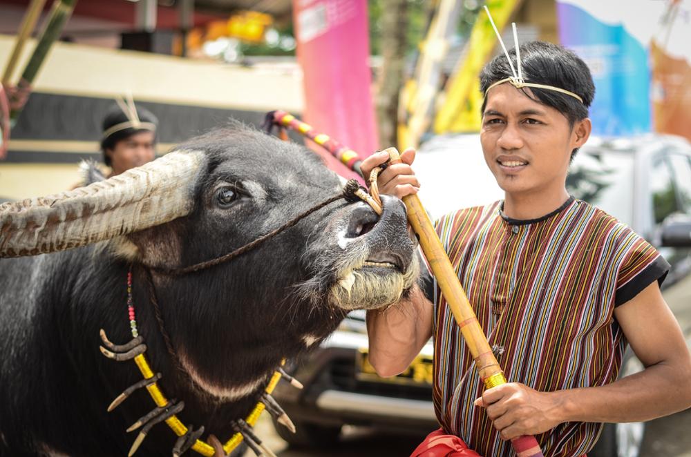 Qui sont les Toraja ?