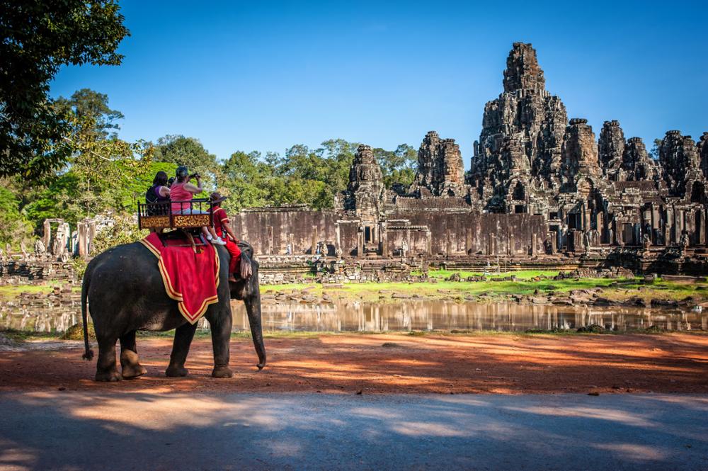 Voilà pourquoi il ne faut pas monter sur le dos des éléphants...