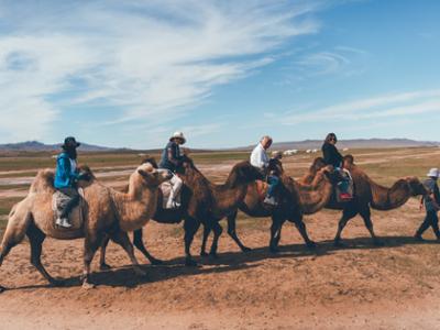 Camel riding