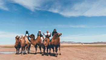 Camel ride 