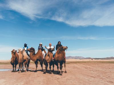 Camel riding