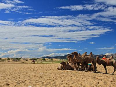 Camel riding