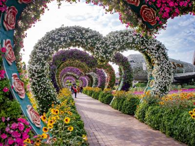 АНЭУ, Дубай - Miracle Garden