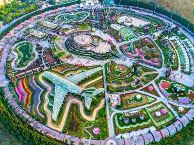 АНЭУ, Дубай - Miracle Garden