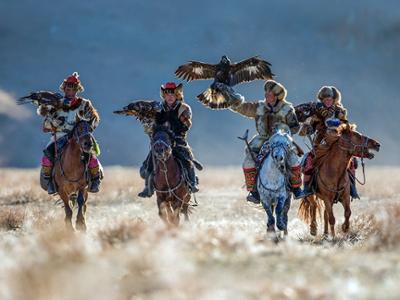Eagle hunters - Mongolia