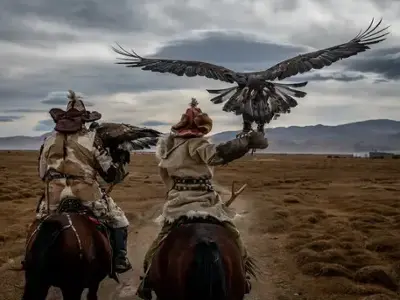 Eagle hunters - Mongolia