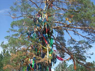 Eej Mod - The Sacred Tree of Mother