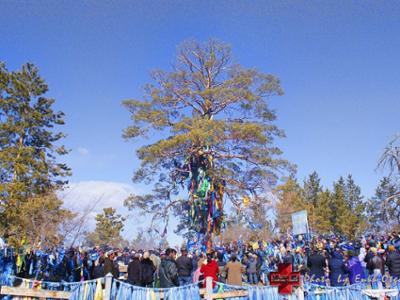 Eej Mod - The Sacred Tree of Mother