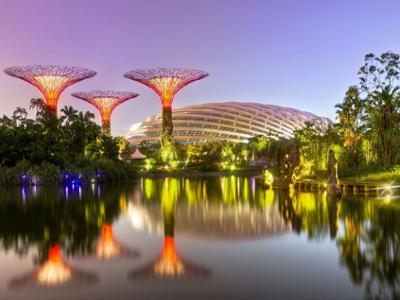Сингапур - Gardens by the Bay