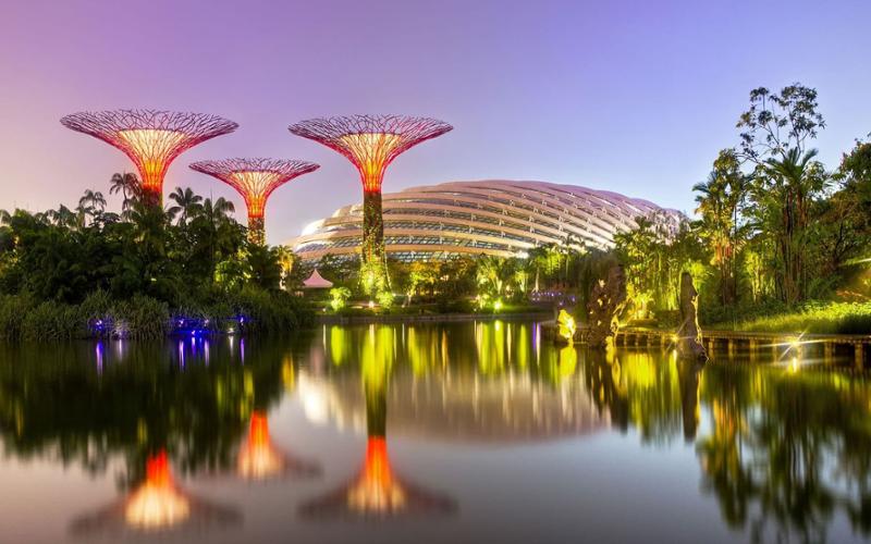 Сингапур - Gardens by the Bay
