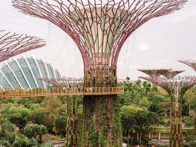Сингапур - Gardens by the Bay
