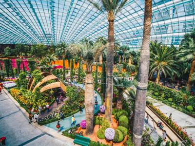 Сингапур - Gardens by the Bay