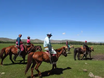 Horse riding 