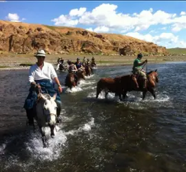 Horse riding 