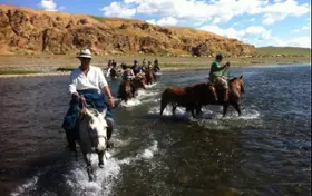 Galop in Orkhon Valley