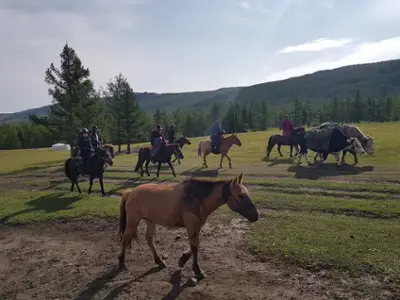 Horse riding 