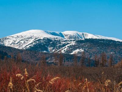 Khan Khentii Mountain National Park