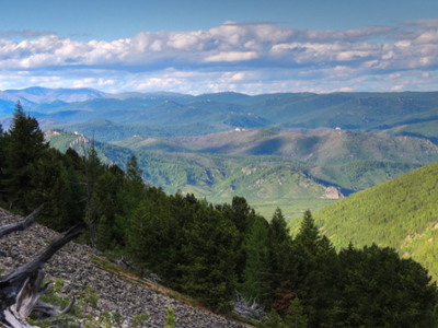 Khan Khentii Mountain National Park