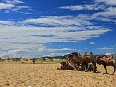 Khogno Khan National Park