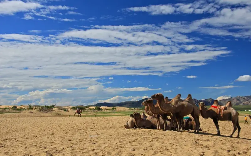 Khogno Khan National Park