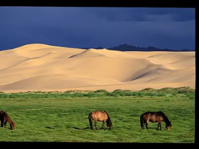 Khogno Khan National Park