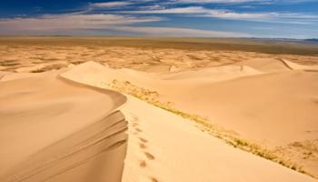Sand dunes of Khongor