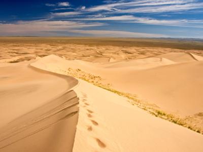 Khongor Sand Dunes