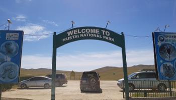 Khustai ger camp