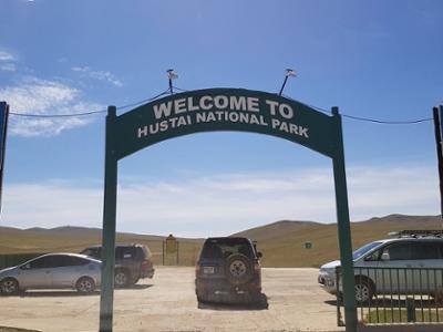 Khustai ger camp