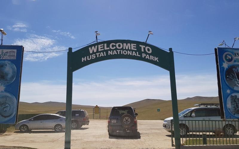 Khustai ger camp
