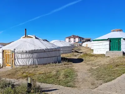 Khustai ger camp