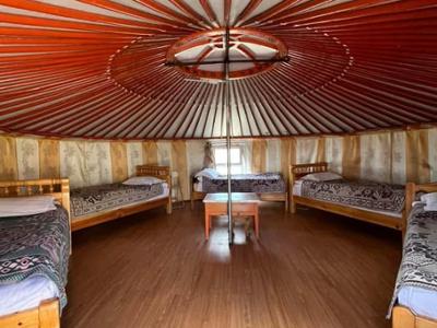 Lunoba ger camp - Khustai
