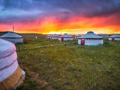 Lunoba ger camp - Khustai