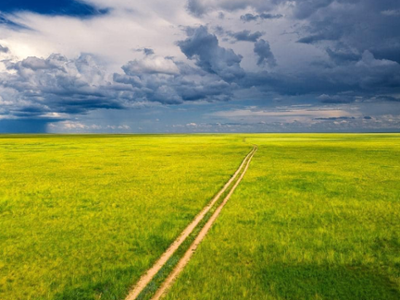 Menen Steppe - Dornod