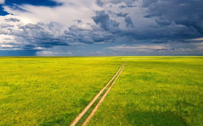 Menen Steppe - Dornod