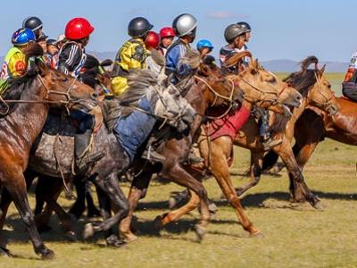 Horse Racing at Naadam Festival