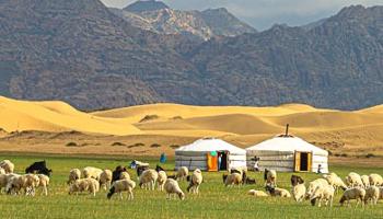 Nomadic Family Stay Experience Gobi