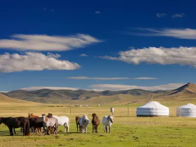 Nomadic Family Stay Experience
