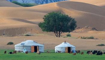 Nomadic Family Stay Experience Gobi