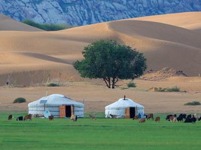 Nomadic Family Stay Experience