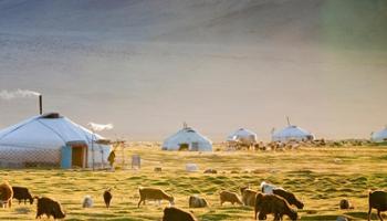 Staying at nomadic family