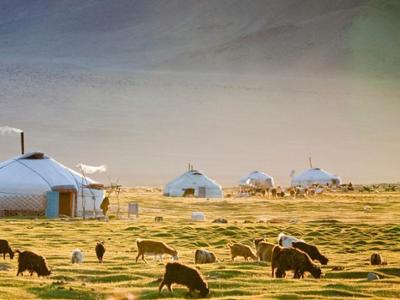 Nomadic Family Stay Experience
