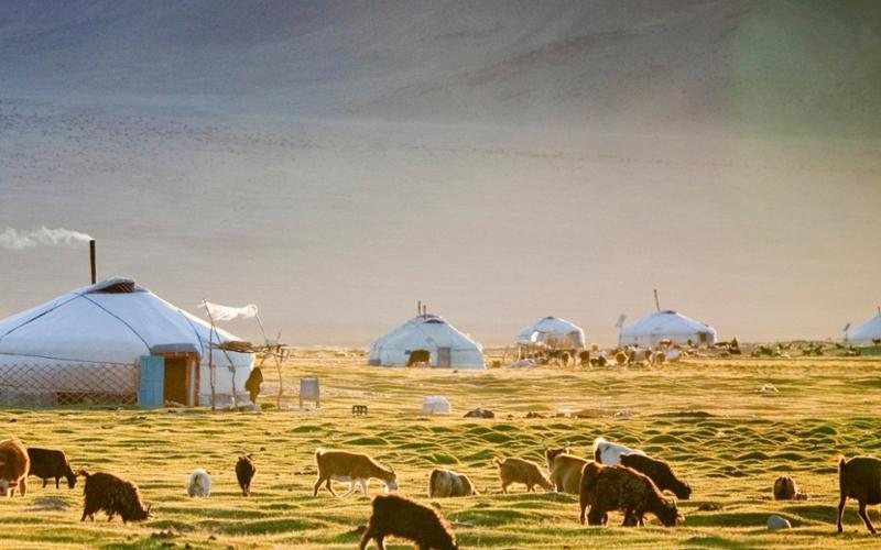 Nomadic Family Stay Experience