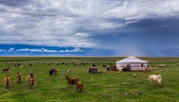 Staying at nomadic family