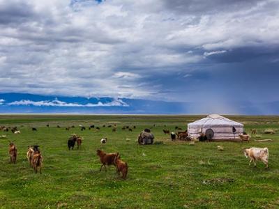 Nomadic Family Stay Experience