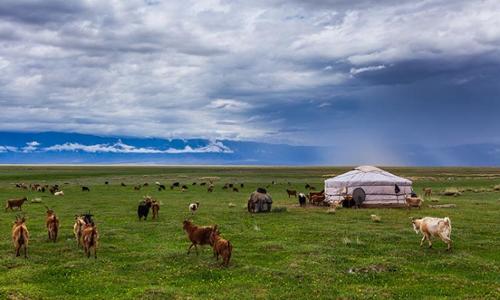 Découvertes en Mongolie centrale