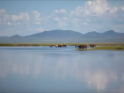 Selenge river