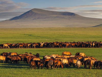 Shiliin Bogd Volcano