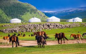 Steppe and Gobi