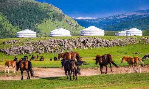 Steppe and Gobi